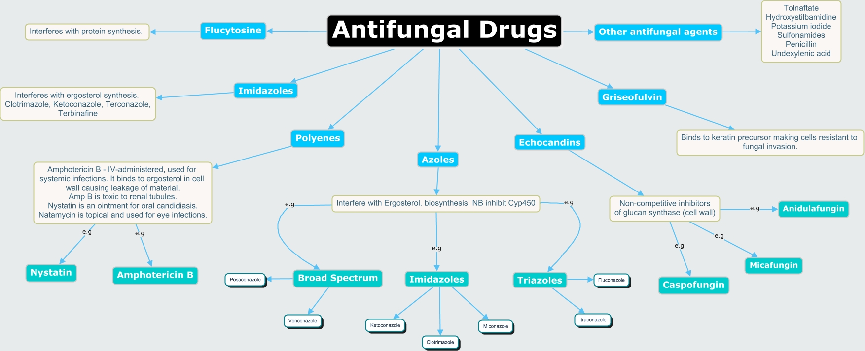 developing-antifungal-agents-and-their-mechanisms-of-action-antifungal